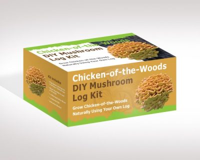 Chicken-of-the-Woods Mushroom Log Kit